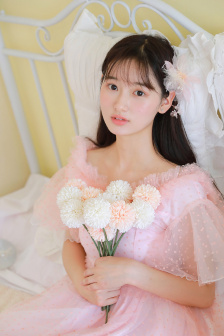 胭楼记